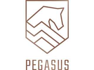 Pegasus Vastgoed Nieuwbouwspecialist