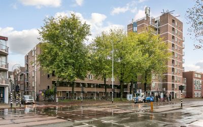 Haarlemmer. 419