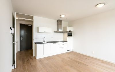 Houthavenka. 106
