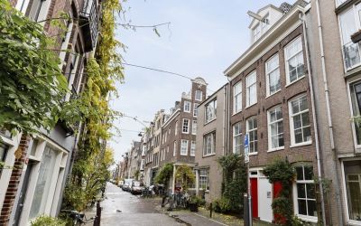 Nieuwe Leli. 147