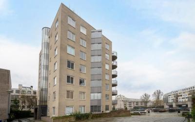 Borneolaan 286