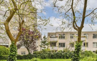 Borneolaan 312