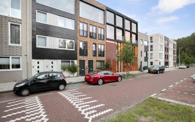 IJsselmeers. 81-A