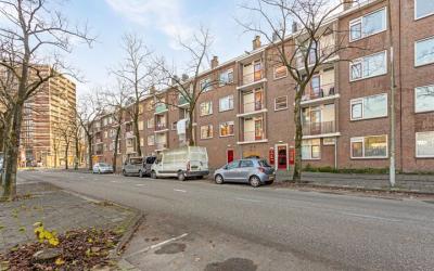 Werengouw 131