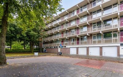 Zilverberg 184