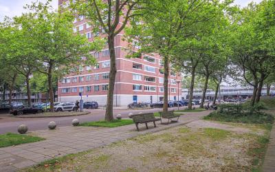 Het Breed 741