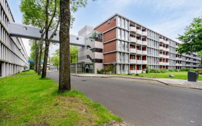 Bovenover 3