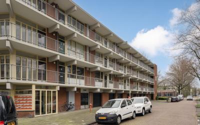 Amerbos 551