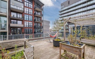 Ridderspoor. 131