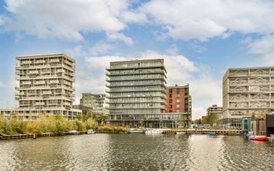 Ridderspoor. 263