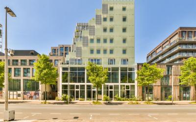 Ridderspoor. 68