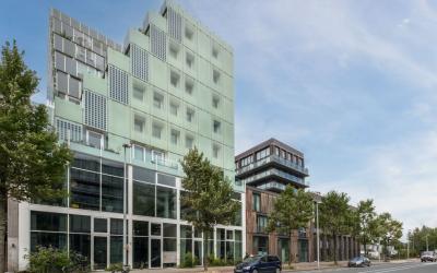 Ridderspoor. 80