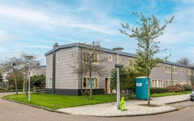 Mandarijnen. 44-1
