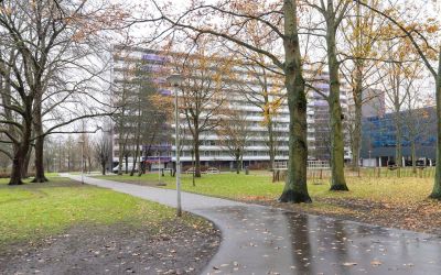 Petmolen 14