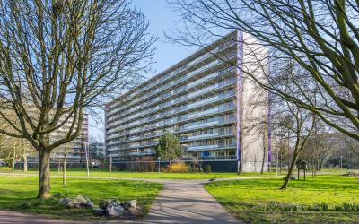 Petmolen 19
