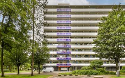 Petmolen 24