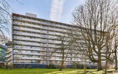 Petmolen 32