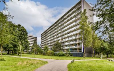 Petmolen 44