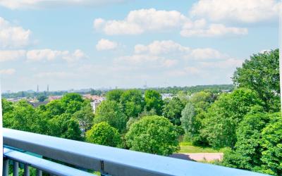 Petmolen 63