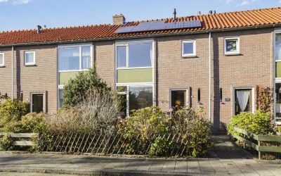 Amoebastraat 17