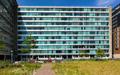 Bos en Lomm. 11-A