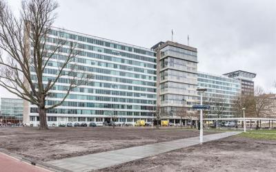 Bos en Lomm. 43-A