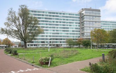Bos en Lomm. 69-C
