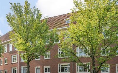 Willem de Z. 351-3