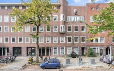 Stuyvesants. 19-3