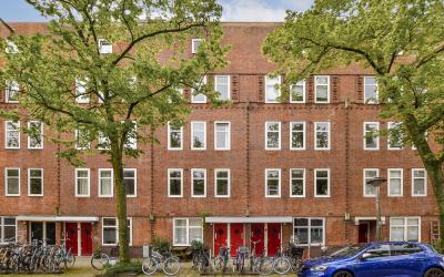 Stuyvesants. 49-1