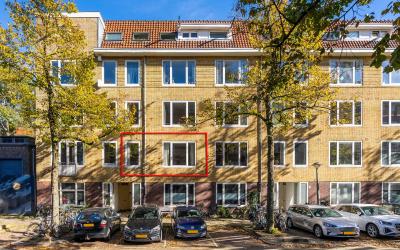 Stuyvesants. 36-1
