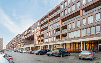 Pieter Cala. 408