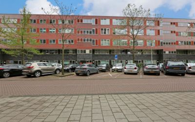 Kwintsheuls. 44