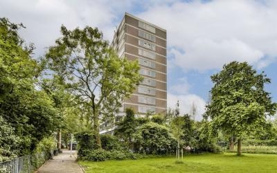Maassluisst. 216