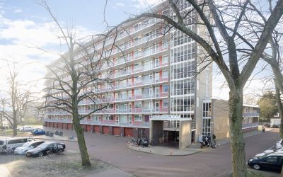 Burgemeeste. 277