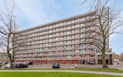 Burgemeeste. 283
