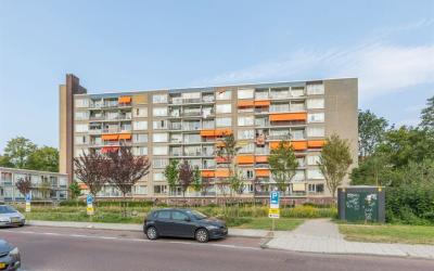 Burgemeeste. 297