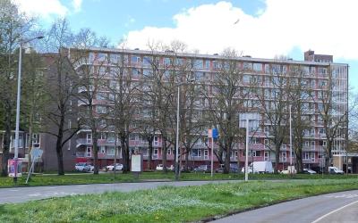 Burgemeeste. 333