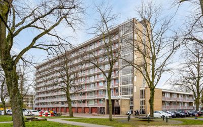 Burgemeeste. 341