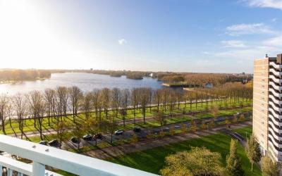 Burgemeester Hogguerstraat 321