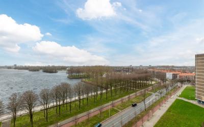 Burgemeester Hogguerstraat 705