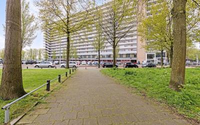Burgemeeste. 923