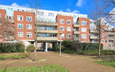 Noordzijde 195