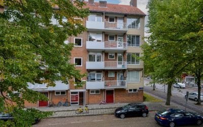 Pieter Cala. 26-1
