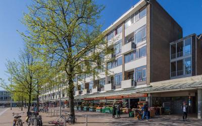 Sierplein 11