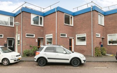 Adam van Ge. 5