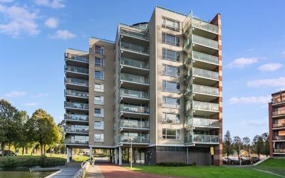 Hamontstraat 70