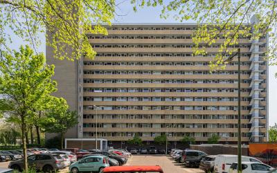 Langswater 315