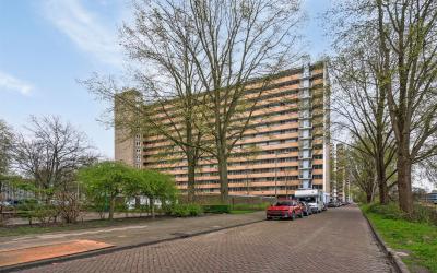 Langswater 607