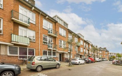 Uiterwaarde. 262-2